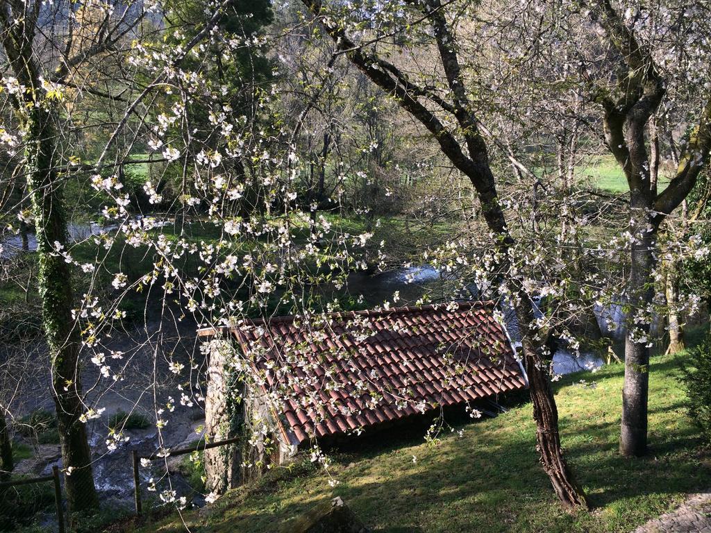 Quinta Do Rio Homem Caldelas Ngoại thất bức ảnh