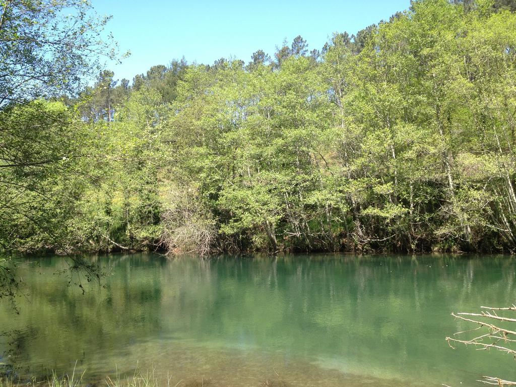 Quinta Do Rio Homem Caldelas Ngoại thất bức ảnh