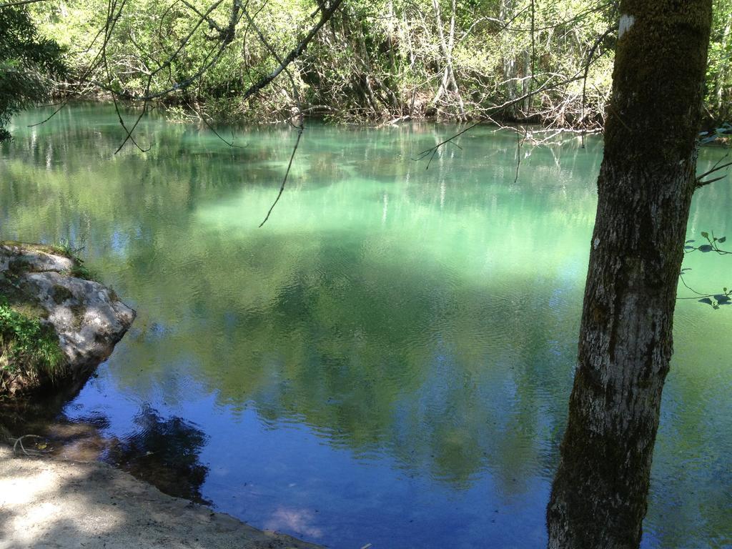 Quinta Do Rio Homem Caldelas Ngoại thất bức ảnh