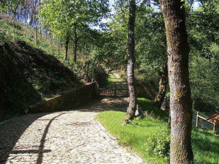 Quinta Do Rio Homem Caldelas Ngoại thất bức ảnh