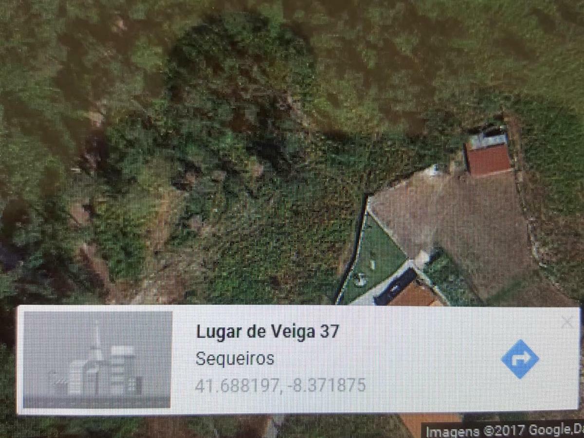 Quinta Do Rio Homem Caldelas Ngoại thất bức ảnh